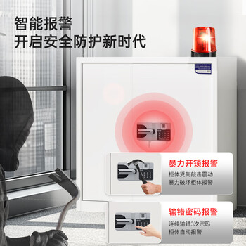 中伟（ZHONGWEI）保密柜文件柜办公档案柜钢制柜智能指纹锁灰白单节带抽加厚款