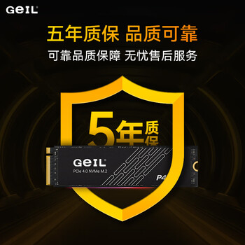 GEIL金邦 1TB SSD固态硬盘 M.2接口(PCIe 4.0 x4)NVMe SSD游戏高性能版 P4H系列 GEIL金邦 1TB SSD固态硬盘 M.2接口(PCIe 4.0 x4)NVMe SSD游戏高性能版 P4H系列