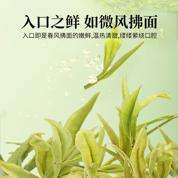 狮峰牌绿茶安吉原产地白茶茶叶明前特级100g竹襄纸包装自饮送礼