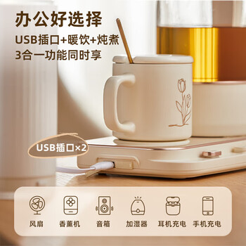 小熊迷你小气泡养生壶 烧水壶电水壶煮茶壶 保温加热杯垫 降噪轻音 YSH-D08Q1 玻璃炖盅+不锈钢滤网 RY