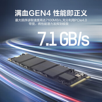 海康威视（HIKVISION）SSD固态硬盘 1TB A4000系列 M.2接口（NVMe协议）PCIe 4.0 读速7000MB/s 台式机笔记本电脑硬盘