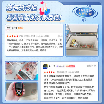 澳柯玛(AUCMA)200升低霜家用冰柜冷藏柜冷冻柜单温冷柜一级能效天际线 BC/BD-200HSNE 澳柯玛(AUCMA)200升低霜家用冰柜冷藏柜冷冻柜单温冷柜一级能效天际线 BC/BD-200HSNE