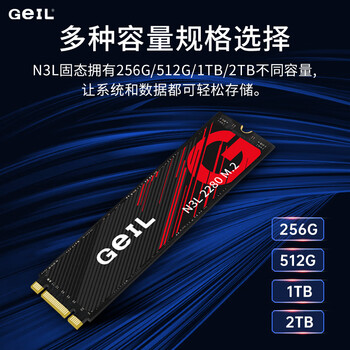 GEIL金邦 1TB SSD固态硬盘 M.2 SATA协议 2280 NGFF 台式机笔记本 高速500MB/S N3L系列
