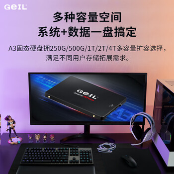 GEIL金邦 2TB SSD固态硬盘 SATA3.0接口 台式机笔记本通用 高速550MB/S A3系列 电脑升级核心组件 GEIL金邦 2TB SSD固态硬盘 SATA3.0接口 台式机笔记本通用 高速550MB/S A3系列 电脑升级核心组件