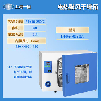 一恒 电热恒温鼓风干燥箱实验室药材烘干老化试验工业烤箱 DHG-9070A