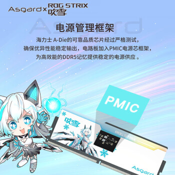 阿斯加特（Asgard）32GB(16GBx2)套 DDR5 6800 台式机内存 RGB灯条-吹雪联名款【CL34】适配黑神话悟空