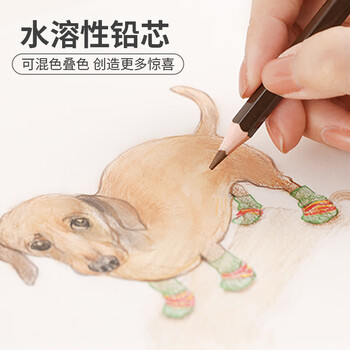 国誉(KOKUYO)学生绘画水溶性彩色铅笔 手绘涂色填色彩铅 24色/粉色包装 WSG-ENWC01P 国誉(KOKUYO)学生绘画水溶性彩色铅笔 手绘涂色填色彩铅 24色/粉色包装 WSG-ENWC01P