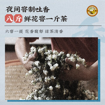 虎标中国香港品牌茶叶茉莉花茶 京味茉莉花茶240g铁盒装自饮送礼