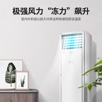 格力清凉湾空调5匹柜机 三级能效变频冷暖 380V大风量商用空调电辅热款RF12WPdQ/NhA-N3JY01