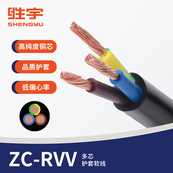 胜宇 ZR-RVV阻燃RVV国标电源线2芯2.5平方护套线 黑色-100米