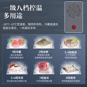 澳柯玛（AUCMA）147升家用冰柜商用卧式小冰柜冰箱 冷藏柜冷冻柜转换冷柜 一级能效  银河灰BC/BD-147NEM 