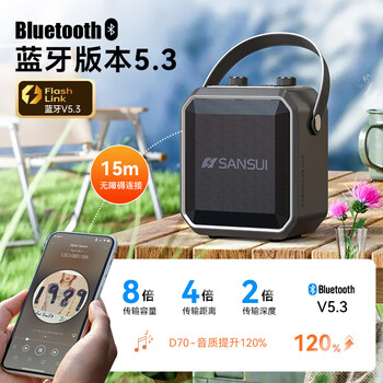 山水（SANSUI）D70户外k歌专用 广场舞音响大音量蓝牙音箱露营收款便携移动音响大功率音箱户外音响双麦乐器音箱