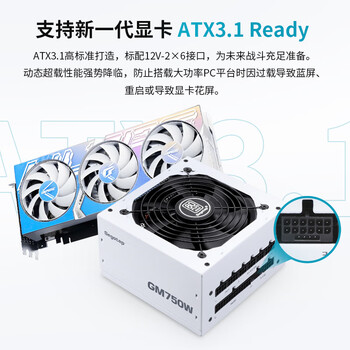 鑫谷(segotep)GM750W ATX3.1金牌全模组冰山版电源(12V-2X6支持5060Ti/5070Ti显卡/白色线材/台式电脑主机箱) 鑫谷(segotep)GM750W ATX3.1金牌全模组冰山版电源(12V-2X6支持5060Ti/5070Ti显卡/白色线材/台式电脑主机箱)