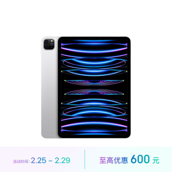 ipad pro11寸- 京东