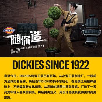Dickies电脑包DK休闲背包男女双肩包大容量可放15.6英寸旅行包大学生书包