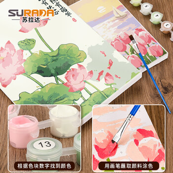 苏拉达(Surada)数字油画 数字油画diy儿童手工初学美术绘画套装中国风景画创意油彩画 20*30cm女孩TX004