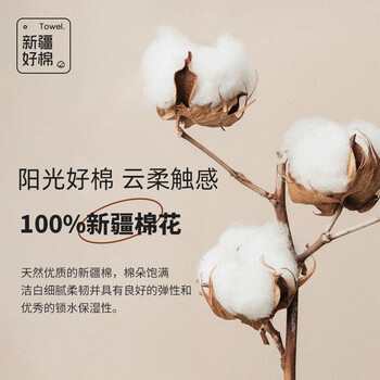 洁丽雅（Grace）新疆长绒棉A类抗菌毛巾4条装 纯棉加厚柔软面巾吸水洗脸巾素色