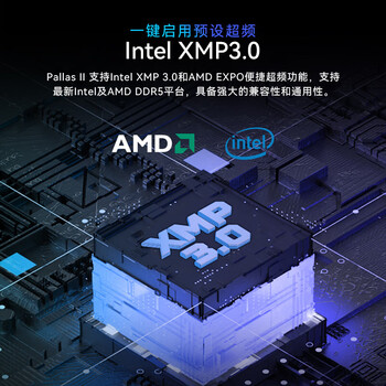 宏碁掠夺者（PREDATOR）48G(24G×2)套装 DDR5 6000频率 台式机内存条 Pallas II 凌霜系列(C28)石耀黑 AI电脑存储配件