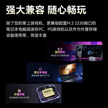 金胜维（KingSpec）512GB SSD固态硬盘NVMe 2230 M.2接口 PCIe4.0 读速5000MB/s 适配SteamDeck掌机