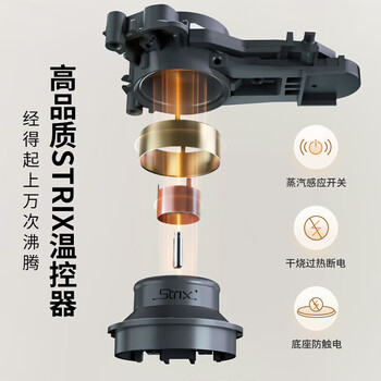 九阳（Joyoung）家用1.5L电水壶+茶垢剂一盒单发 大容量电热水壶进口温控无缝内胆开水煲不锈钢烧水壶K15FD-W950