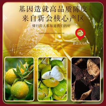 同仁堂（TRT）新会老陈皮广东二十礼盒送长辈父母女神节春节过年礼品250g