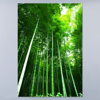 竹林画价格报价行情- 京东