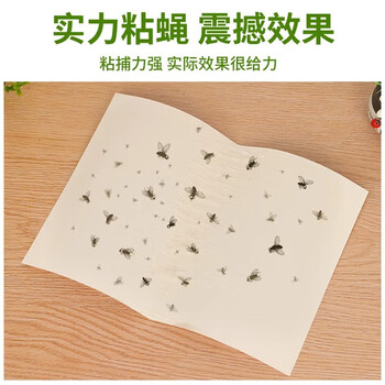 锐本粘蝇纸60张粘蚊子苍蝇纸沾蝇板强力蝇虫贴灭杀果蝇小飞虫捕蝇神器