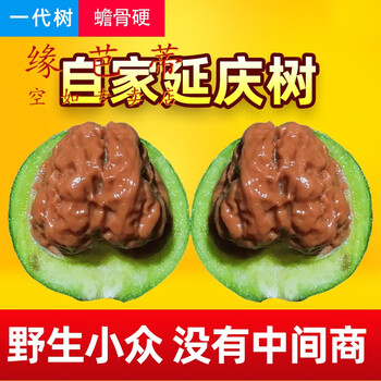 狮子头文玩核桃新款- 狮子头文玩核桃2021年新款- 京东