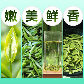 茗山生态茶 茶叶新茶 碧螺春绿茶 嫩叶双木罐装共300g 茗山生态茶 茶叶新茶 碧螺春绿茶 嫩叶双木罐装共300g