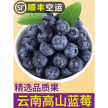 壹果万麦云南新鲜蓝莓现摘当季水果鲜果125g盒高山蓝莓大果整箱4盒果