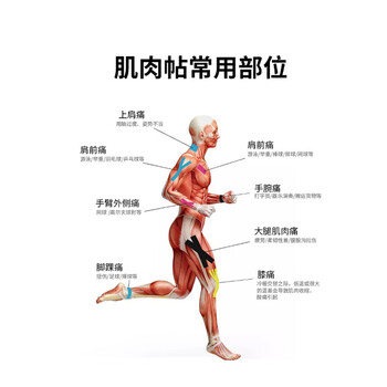 LP篮球足球运动胶布弹性绷带三角预剪裁肌贴 TM701R 【V型-3贴】 LP篮球足球运动胶布弹性绷带三角预剪裁肌贴 TM701R 【V型-3贴】