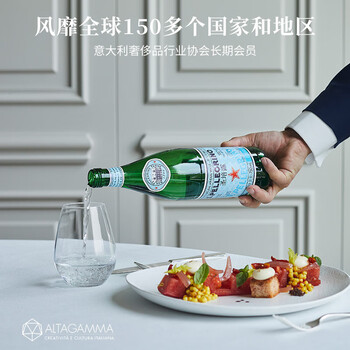 圣培露（S.PELLECRINO）意大利含气天然矿泉水气泡水750ml*12瓶