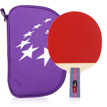 红双喜二星训练成品拍升级版直拍H2006双面反胶乒乓球拍含拍包乒乓球