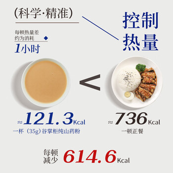 谷掌柜100%纯铁棍山药粉500g无添加健脾护胃养胃粉营养早餐代餐即食送礼