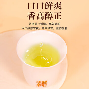 华源安溪铁观音清香型特级250g*2非遗传承技艺2025新茶节日送礼盒装