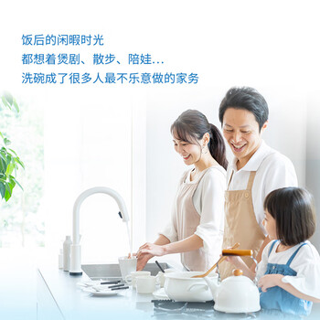 水卫仕SD洗碗粉1瓶