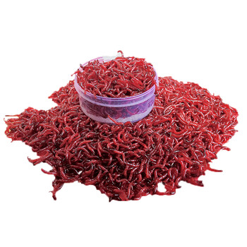 红虫活饵鲜活饵特大黑头公虫钓饵鱼饵拉饵小虫红虫子野钓活体 特大号