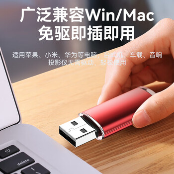 毕亚兹 2GB USB2.0 招标投标U盘 小容量 迷你 公司企业竞标专业U盘优盘 10个/盒 UP015
