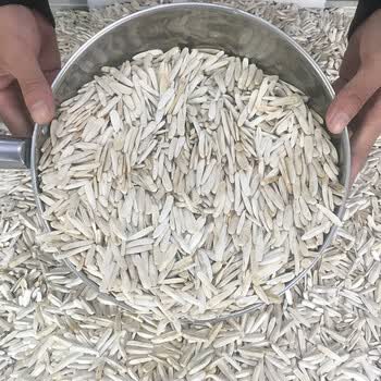 特产优联新疆马牙白瓜子新货炒制阿克苏大颗粒原味狼牙签白皮 特级