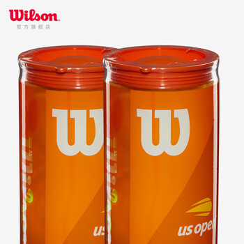 Wilson威尔胜美网联名青少年儿童网球比赛网球 3粒装 橙色