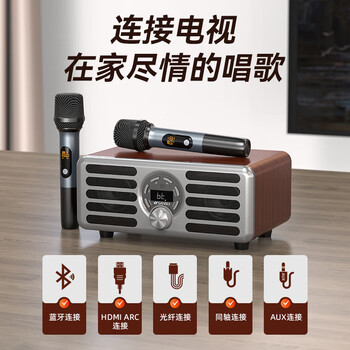 山水（SANSUI）N2家庭ktv音响套装客厅电视卡拉ok一体机k歌专用桌面迷你音响带话筒无线蓝牙音箱低音炮音乐播放器