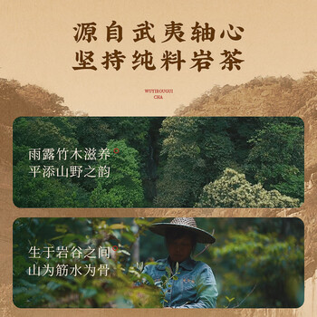 武夷山大红袍乌龙茶武夷岩茶半岩肉桂一级250g中火礼盒装茶叶送礼送长辈