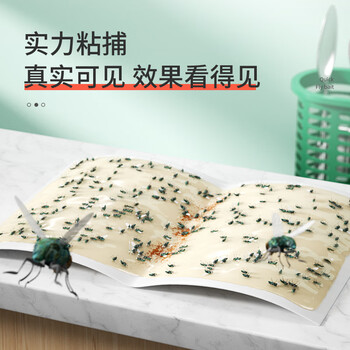 绿叶（Green Leaf）苍蝇粘板30片装粘蝇达人胶粘蝇板灭蝇子粘板