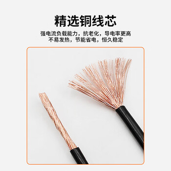 巴也 德标薄壁汽车线 单芯1.0平方多股铜芯改装线黑色1米 BY-FLRY-B-1*1.0K
