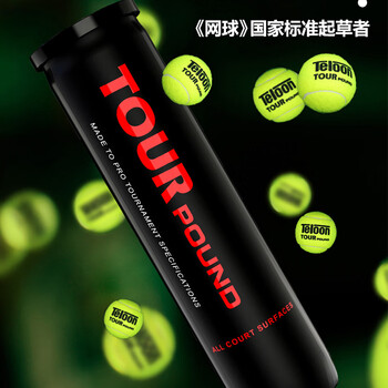 天龙(Teloon)网球比赛训练习用球高弹耐磨P4 TOUR pound 天龙(Teloon)网球比赛训练习用球高弹耐磨P4 TOUR pound