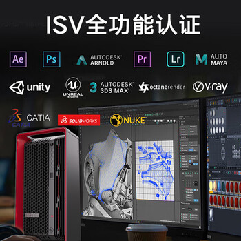 联想（Lenovo）【ThinkStation PX】【图形工作站】电脑主机铂金至强四代8480+/256G/2T固+8T/A4000 16G定制