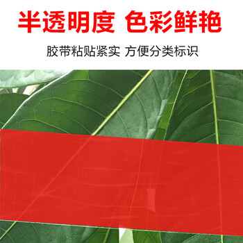 斯图sitoo 彩色胶带 标识分类胶带封箱胶带打包胶带快递胶带透明胶带  红色 48mm*50m 1卷装