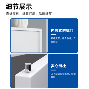 丰龙保密柜文件柜智能密码锁档案柜办公资料铁皮柜凭证柜通门无抽