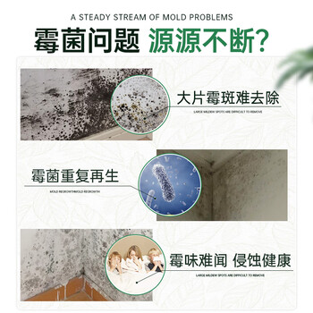 魅她（MIOLTTA）墙体除霉剂 墙面白墙去霉点霉斑霉菌清除剂 墙壁卫生间防霉除霉味