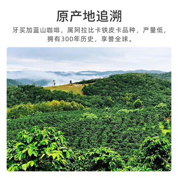 JBeM牙买加蓝山挂耳咖啡礼盒中深烘焙15片装
